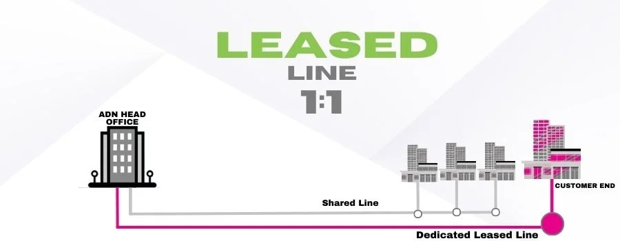 Related Product Image